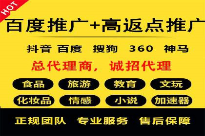 深度解析：SEM竞价优化提升ROI的案例